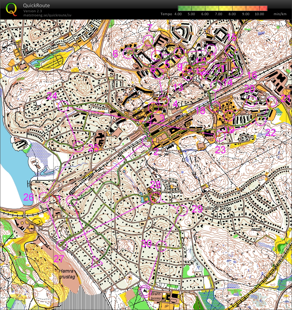 Väg-OL med Sprintinslag (2010-03-25)