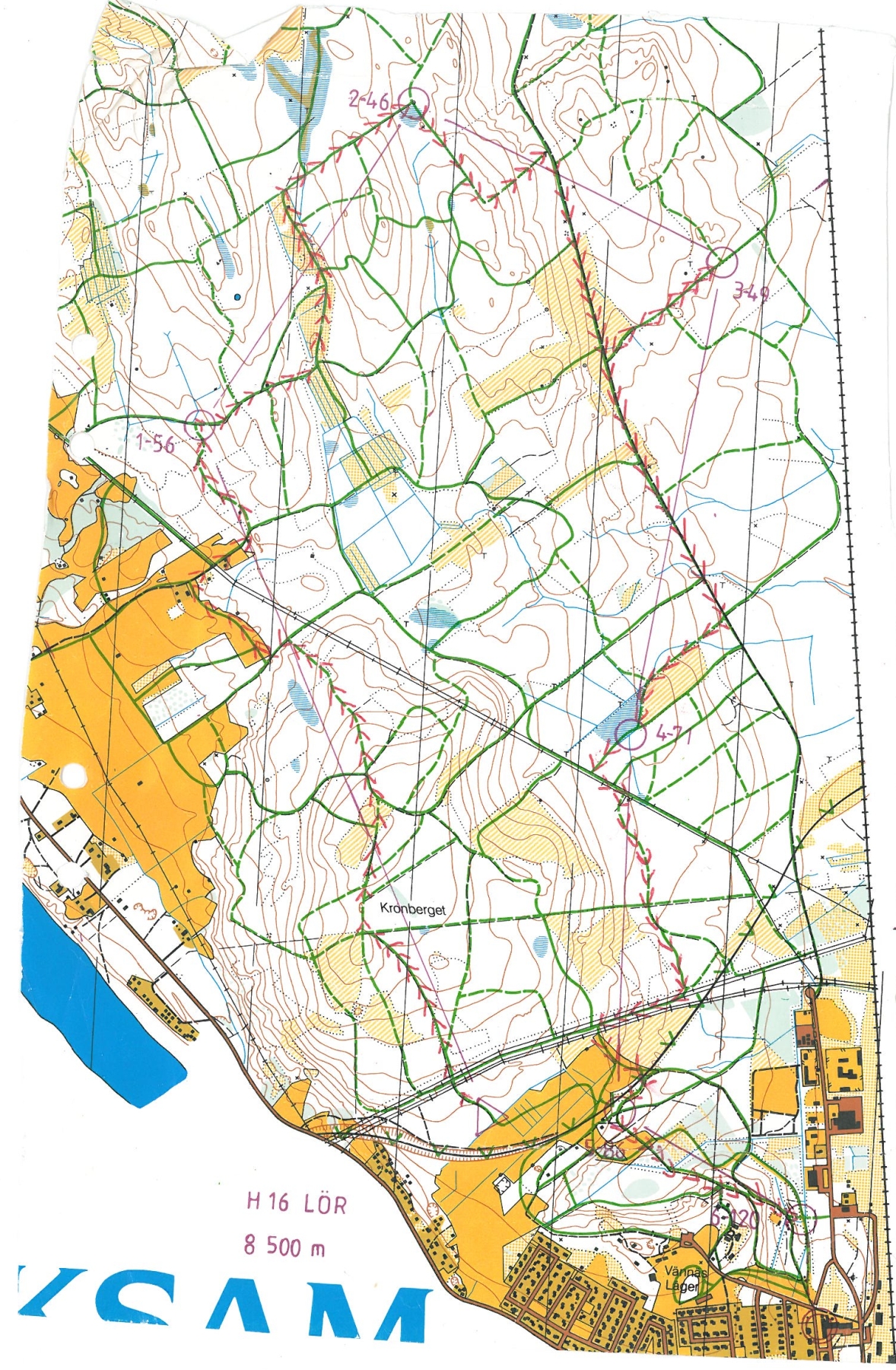 Ski-O Vännäs (1990-03-02)