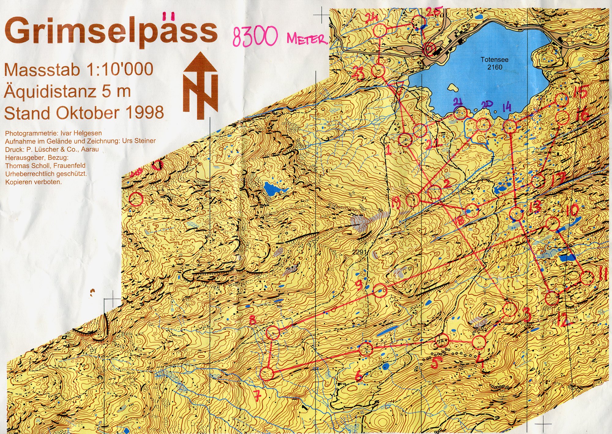 Grimt i Grimselpass (2010-08-10)