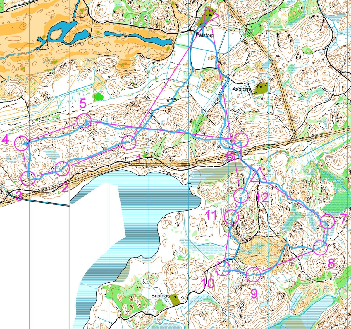 Pålstorp - utan kompass och gps (24.11.2012)