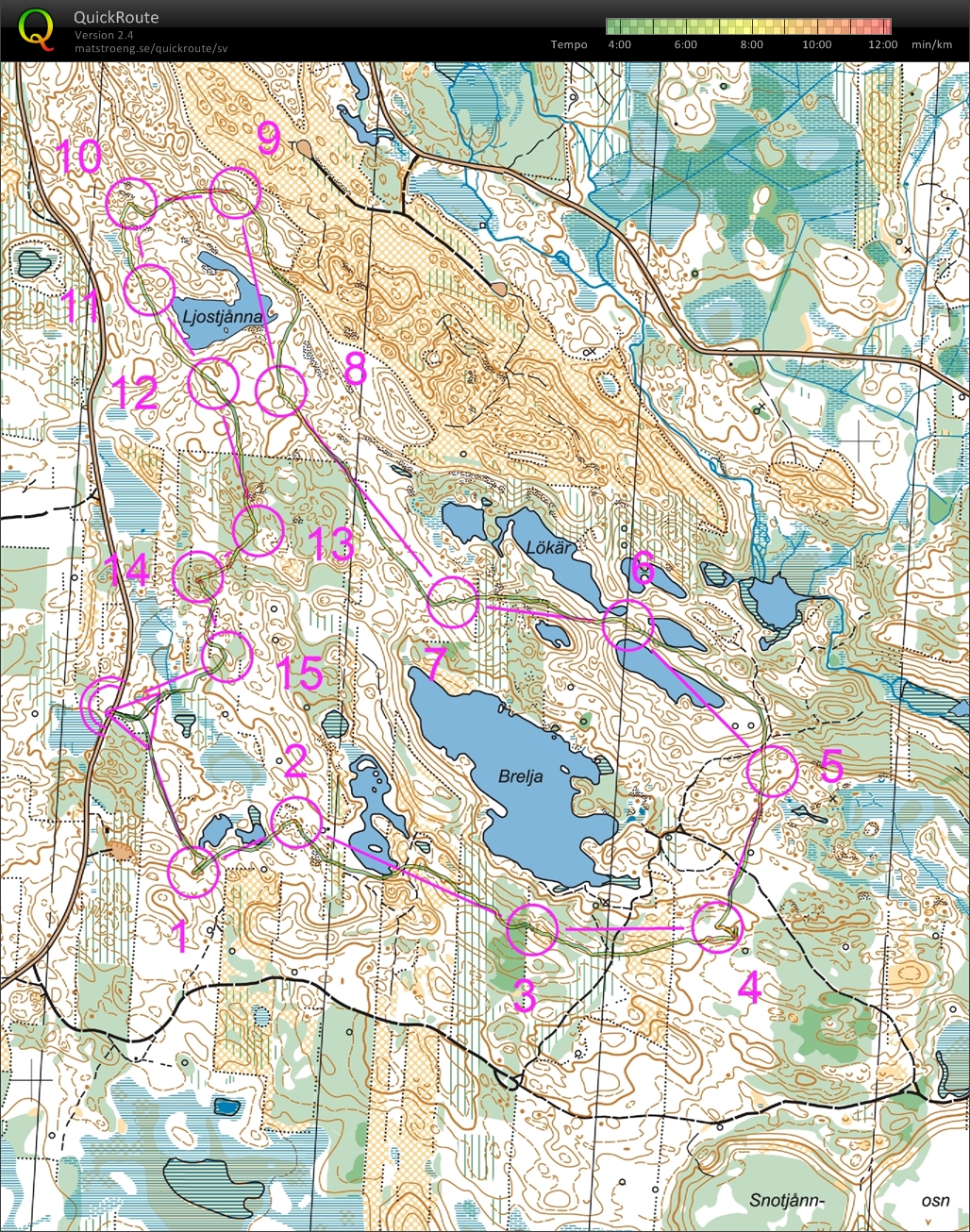 Träning Skattungbyn (2013-05-09)